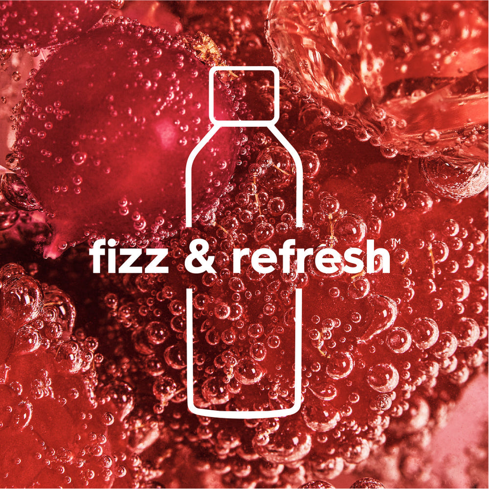 fizz & refresh Kunststoffsprudlerflasche sand 1 L, 2er-Pack – 4