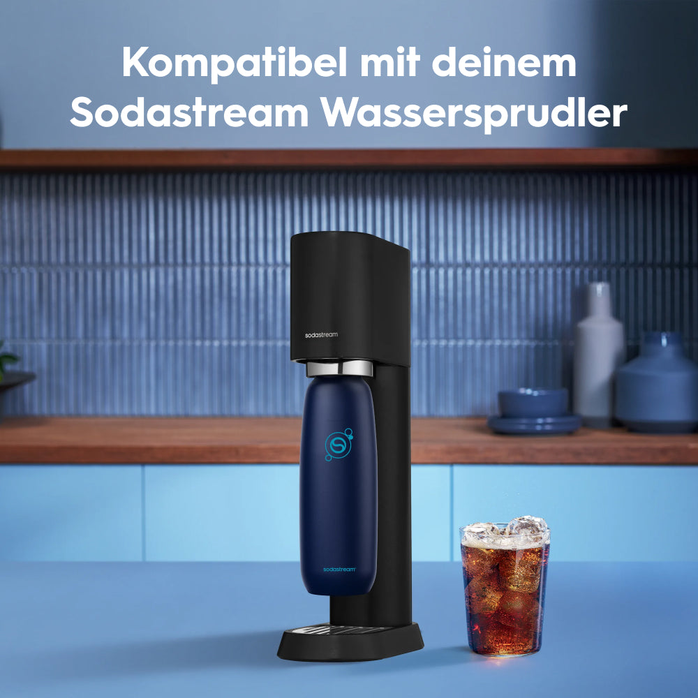 Fizz&go Edelstahl Sprudlerflasche (Blueberry) 0,9 L, 1er-Pack