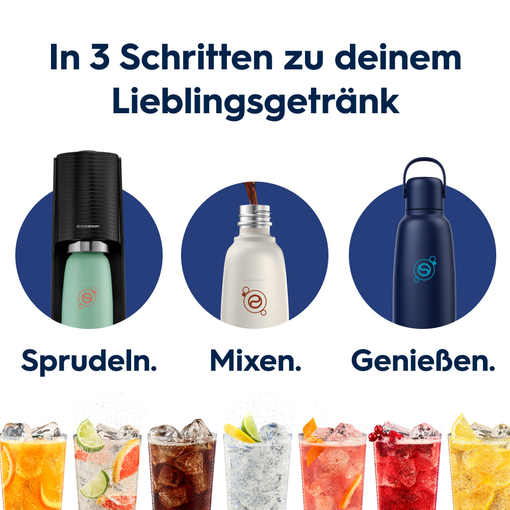 Fizz&go Edelstahl Sprudlerflasche (Blueberry) 0,9 L, 1er-Pack