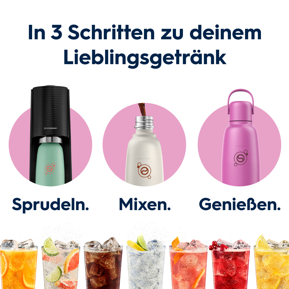 Fizz&go Edelstahl Sprudlerflasche (Guava) 0,9 L, 1er-Pack