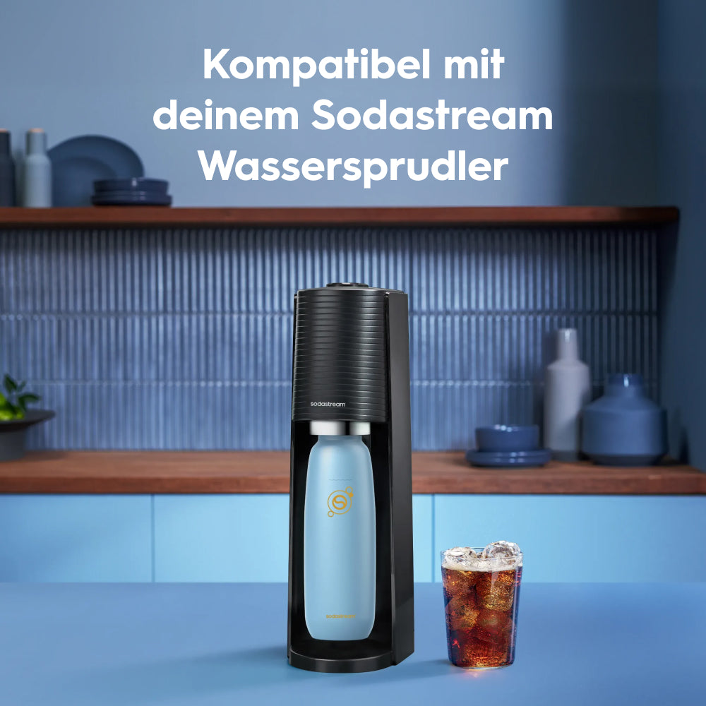 Fizz&go Edelstahl Sprudlerflasche (Ice) 0,9 L, 1er-Pack