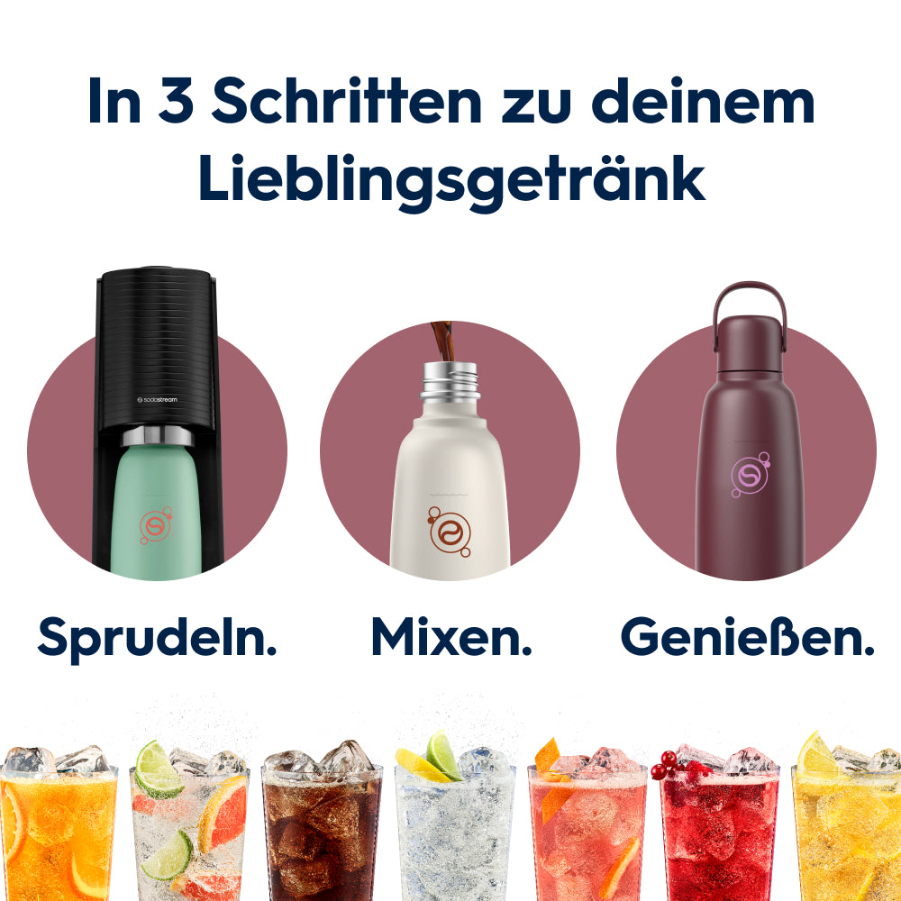 Fizz&go Edelstahl Sprudlerflasche (Pomegranate) 0,9 L, 1er-Pack